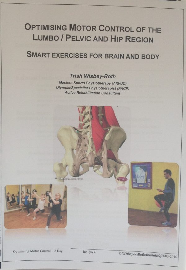 Optimising Motor Control of the Lumbo / Pelvic & Hip Region