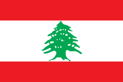 DRY NEEDLING COURSE LEVEL 1; Beirut, LEBANON